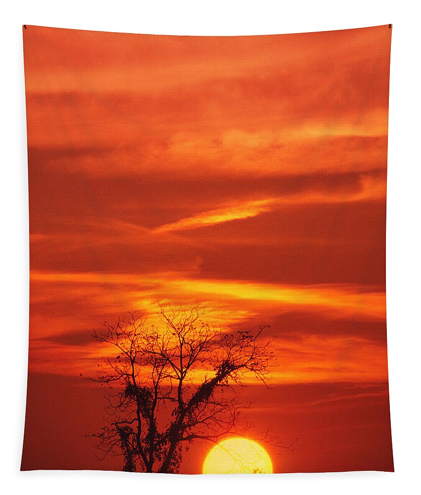 Brush Tapestry featuring the photograph Lexington Sunset by Bijan Pirnia