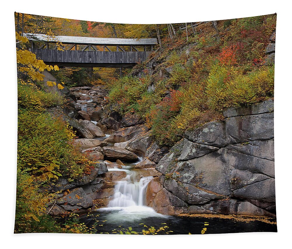 Sentinel Pine Bridge Tapestry featuring the photograph Liberty Gorge and Sentinel Pine Bridge by Juergen Roth