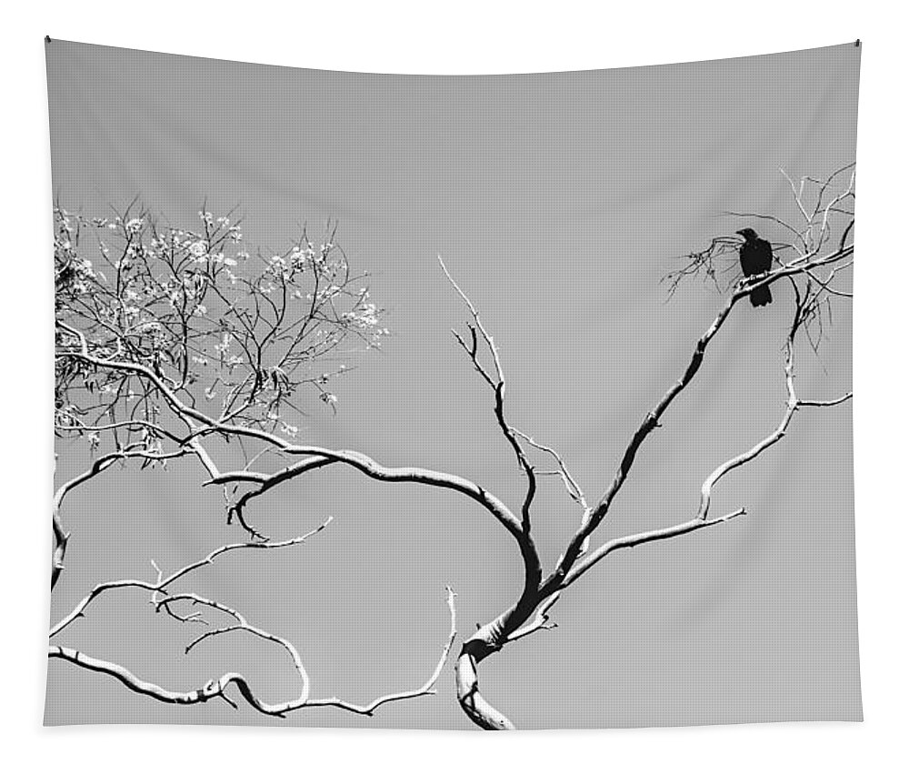 Black And White Tapestry featuring the photograph Life and Death by Jason Roberts