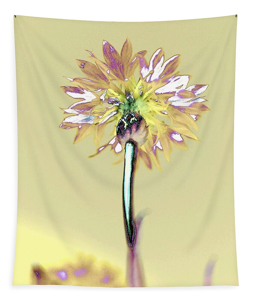 Flower Tapestry featuring the photograph Light and Lovely by Dani McEvoy