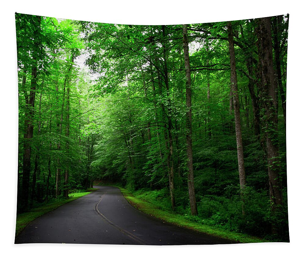 Paved Road Tapestry featuring the photograph Light And Shadow On A Mountain Road by Greg and Chrystal Mimbs