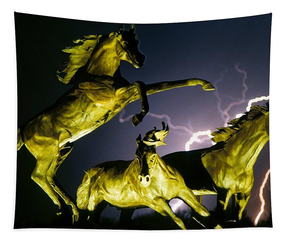 Lightning Tapestry featuring the photograph Lightning At Horse World Fine Art Print by James BO Insogna