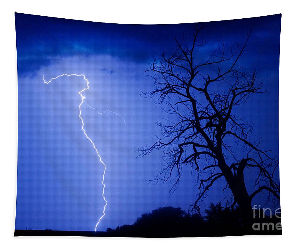 Tree Tapestry featuring the photograph Lightning Tree Silhouette by James BO Insogna