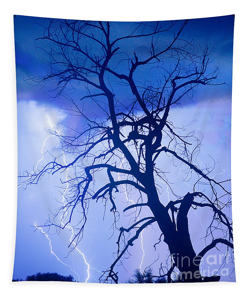 James Bo Insogna Tapestry featuring the photograph Lightning Tree Silhouette Portrait by James BO Insogna