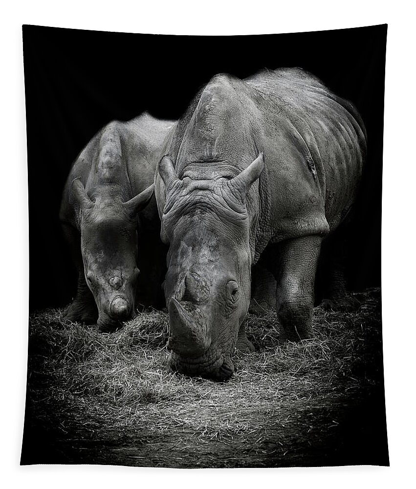 Rhino Tapestry featuring the photograph Like Father like Son by Paul Neville