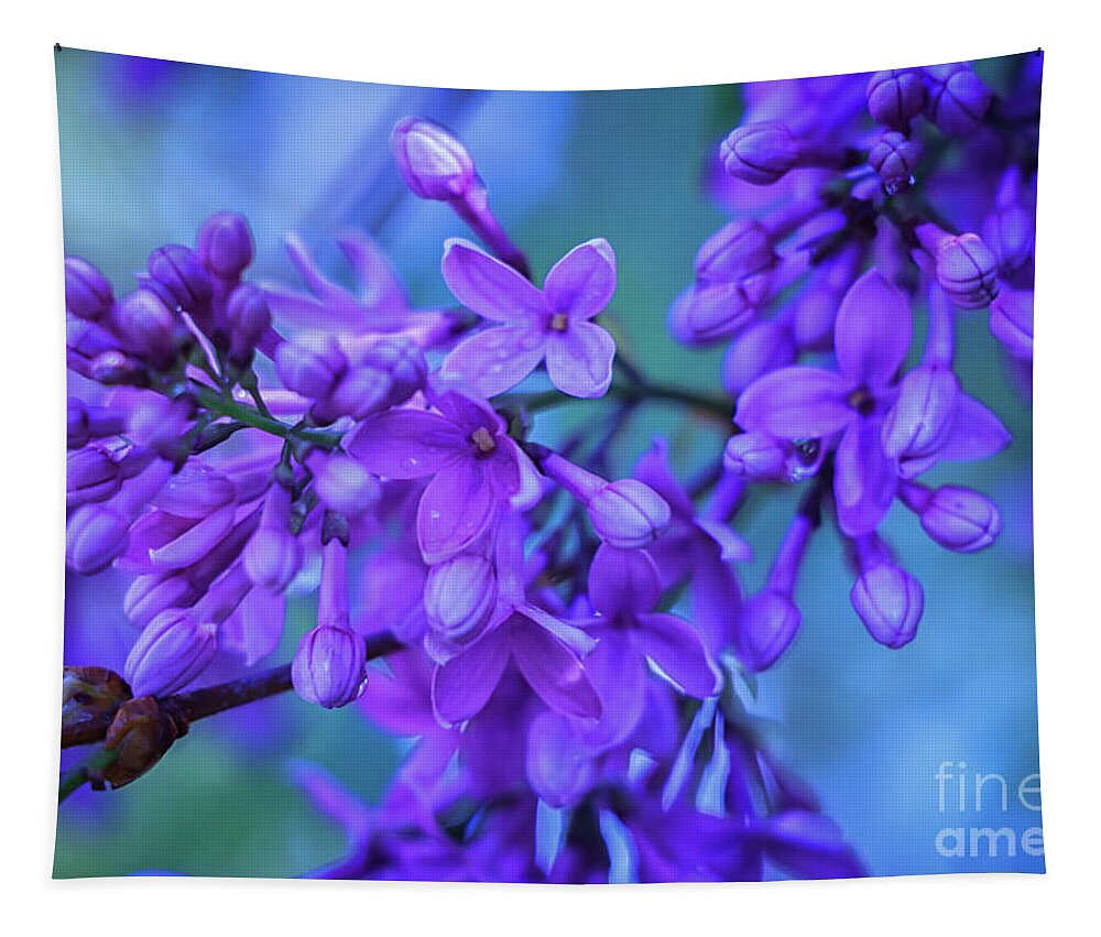 Lilacs Tapestry featuring the photograph Lilac Blues by Elizabeth Dow