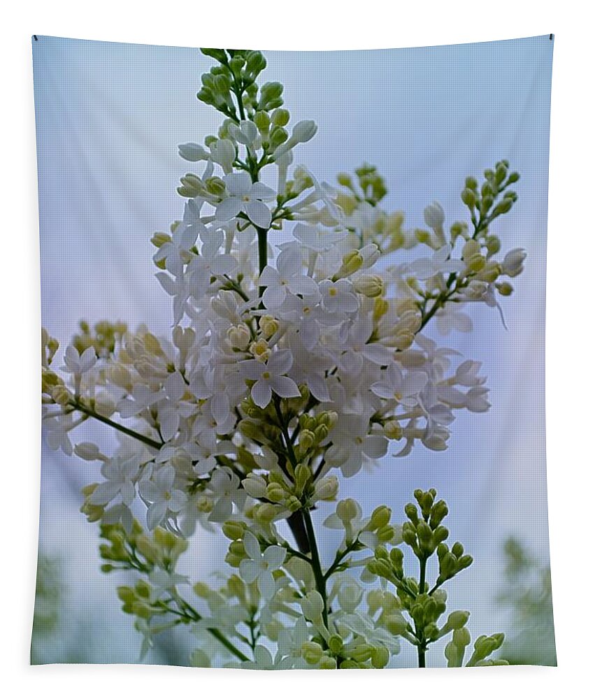 Lilac Tapestry featuring the photograph Lilac Flowers by Sonali Gangane