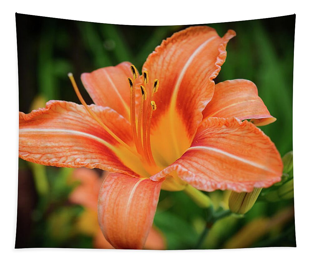 Flower Tapestry featuring the photograph Lily by Nicole Lloyd