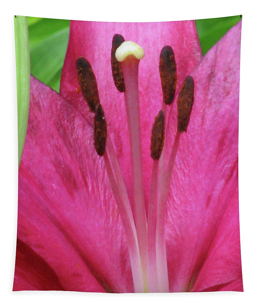 Lily Tapestry featuring the photograph Lily - Simply Spring 19 by Pamela Critchlow