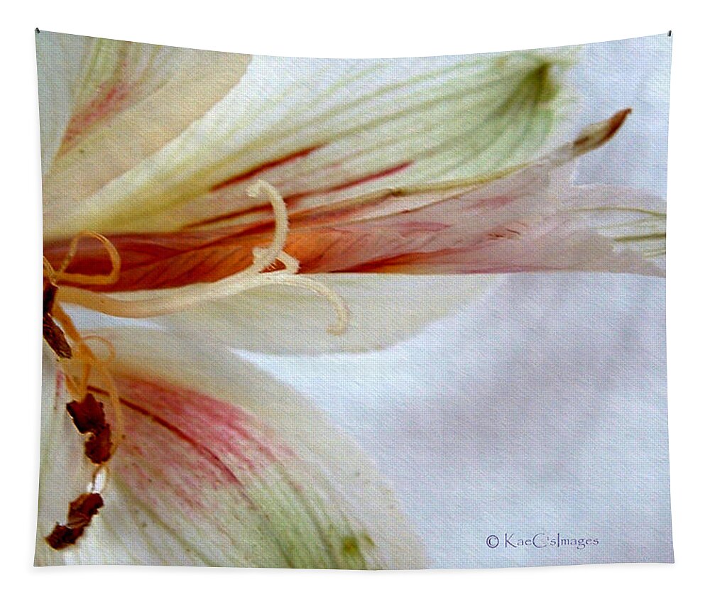 Lily Tapestry featuring the photograph Lily with Texture by Kae Cheatham