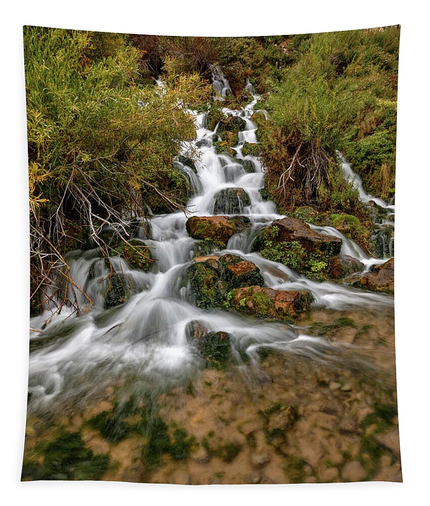 Blacksmith Fork Tapestry featuring the photograph Lime Spring by David Andersen