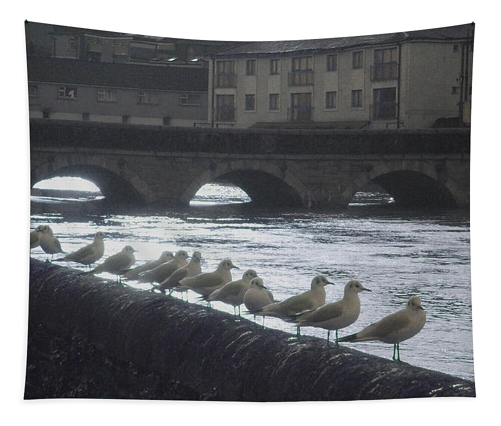 Birds Tapestry featuring the photograph Line of Birds by Tim Nyberg