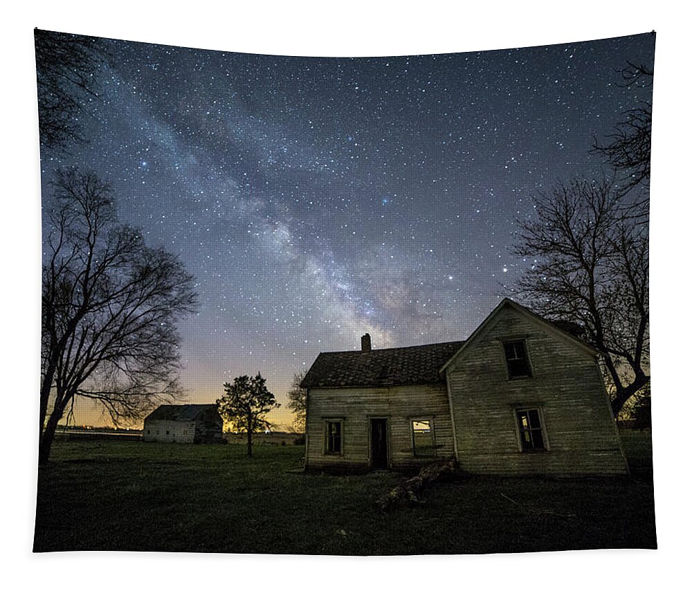 Trees Tapestry featuring the photograph Linear by Aaron J Groen