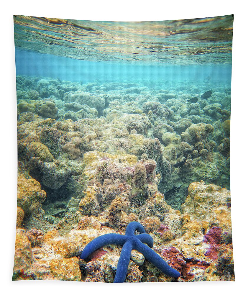 Coral Reef Tapestry featuring the photograph Linkia Love by Becqi Sherman