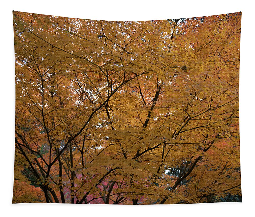 Fall Tapestry featuring the photograph Lithia Park Ashland Oregon by Robert Braley