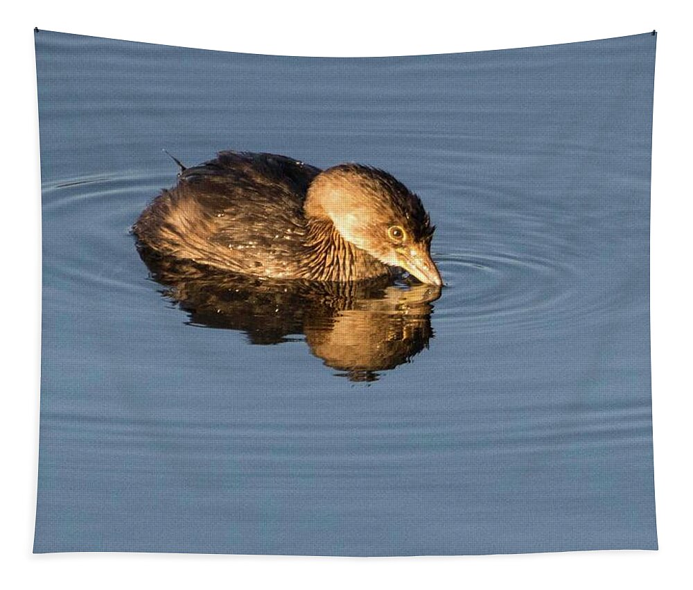 Wildlife Tapestry featuring the photograph Little Brown Duck by John Benedict