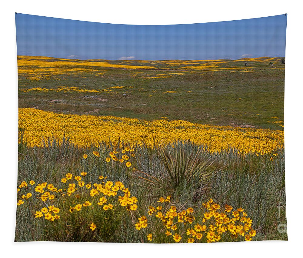 Yellow Wildflowers Tapestry featuring the photograph Little House On the prairie by Jim Garrison