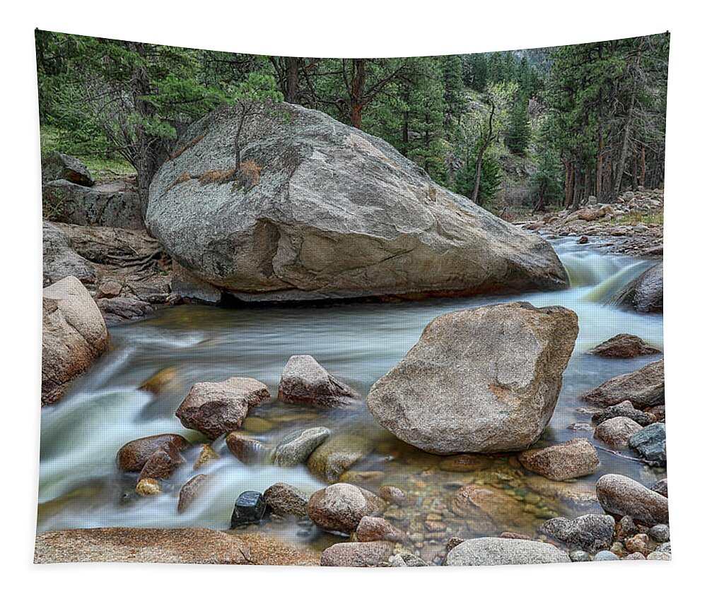 Creek Tapestry featuring the photograph Little Pine Tree Stream View by James BO Insogna