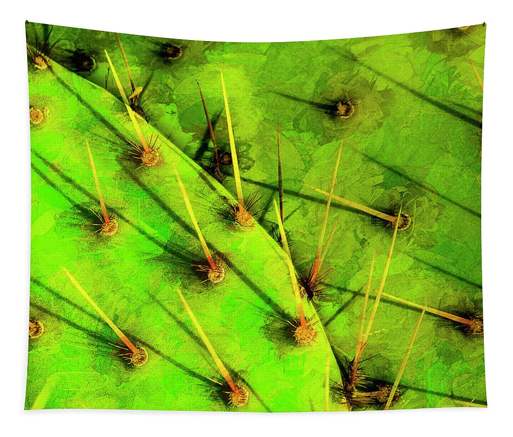 Photography Tapestry featuring the photograph Prickly Pear by Paul Wear