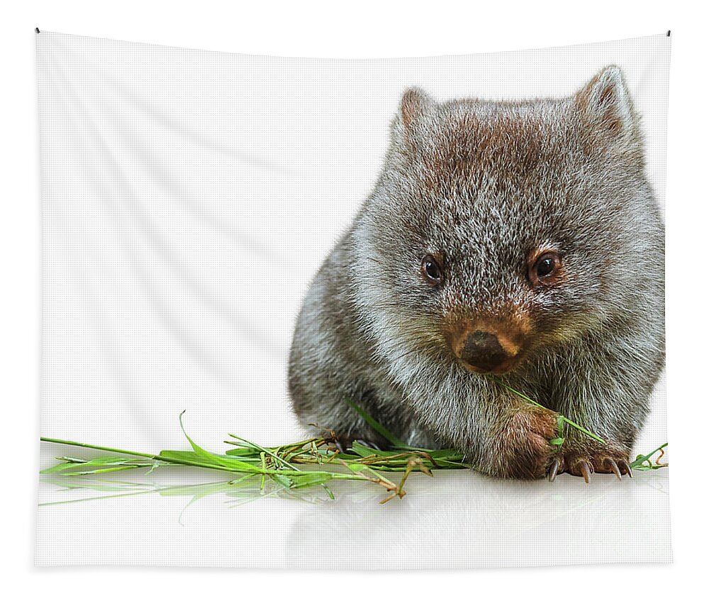 Australia Tapestry featuring the photograph Little Wombat by Benny Marty