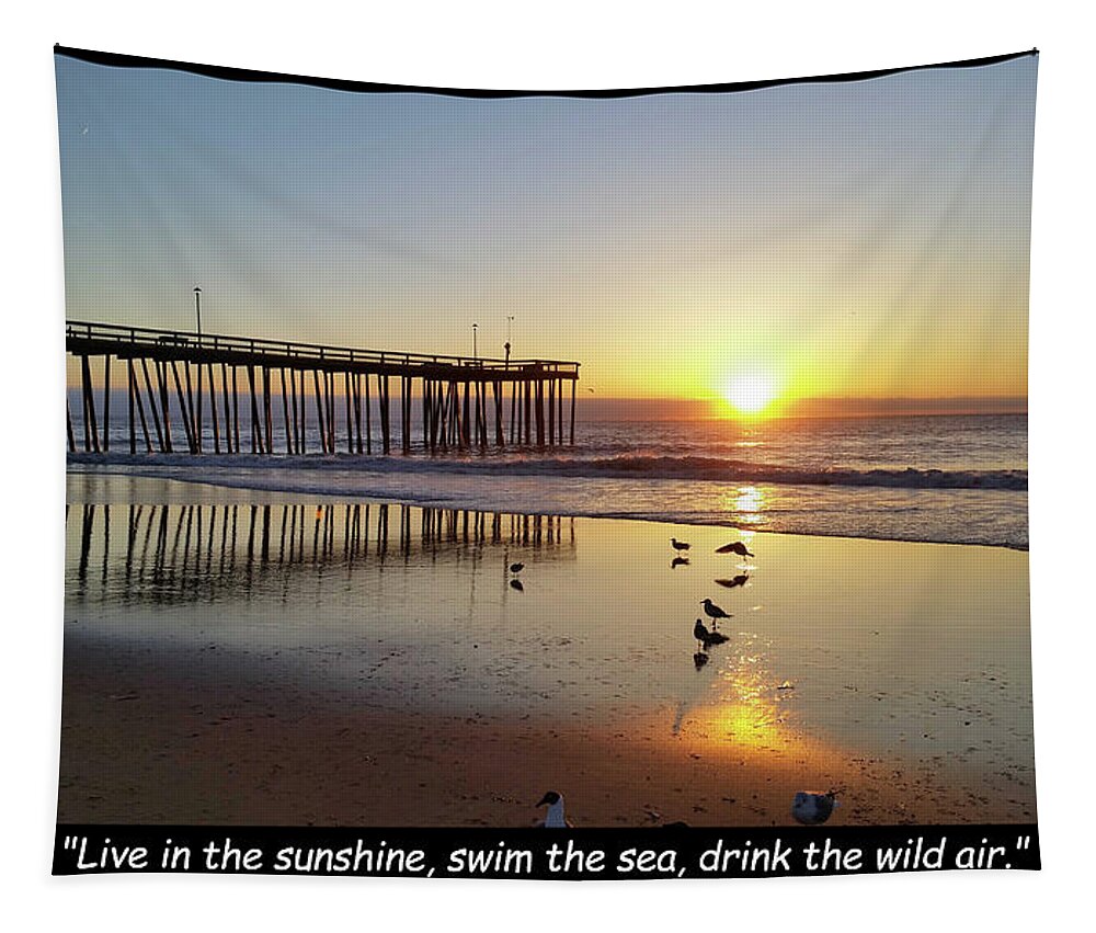 Live In The Sunshine Tapestry featuring the photograph Live In The Sunshine... by Robert Banach