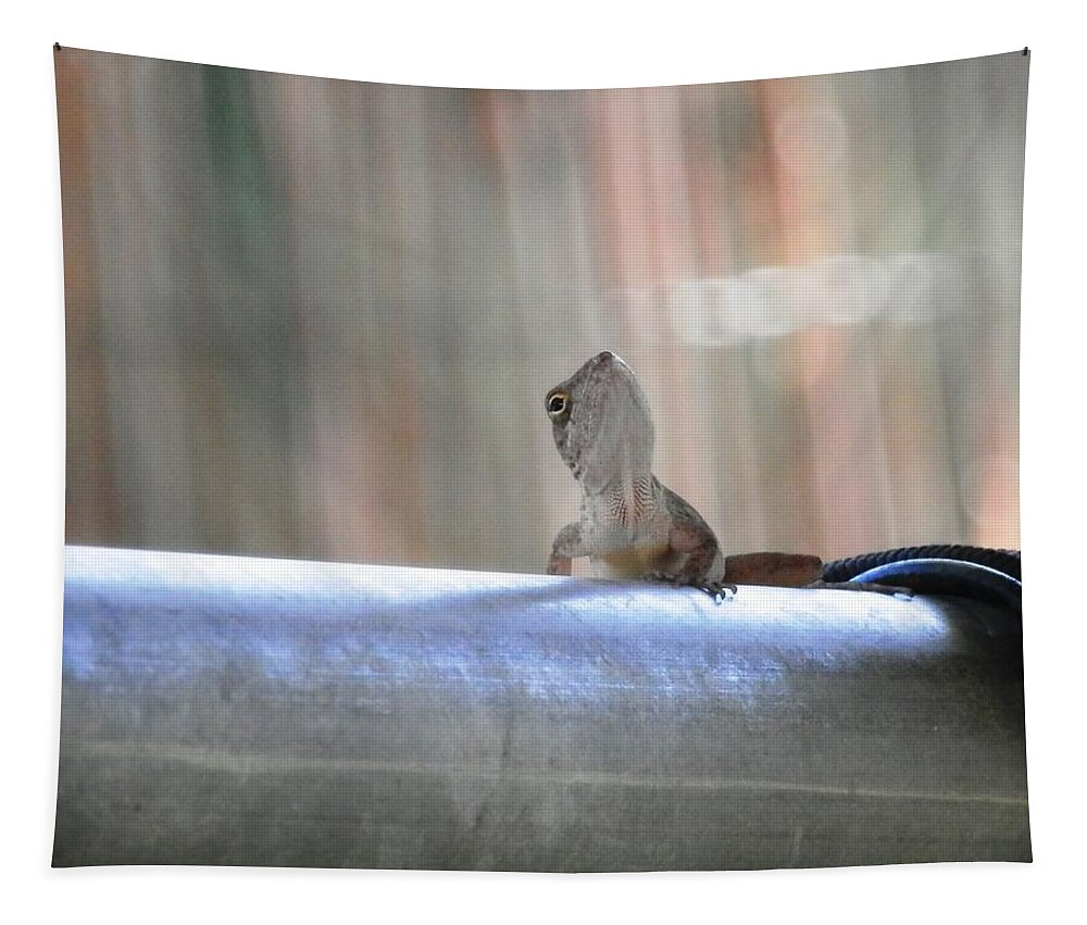 Caught This Grey Tapestry featuring the photograph Lizard Larry Look Up by Belinda Lee