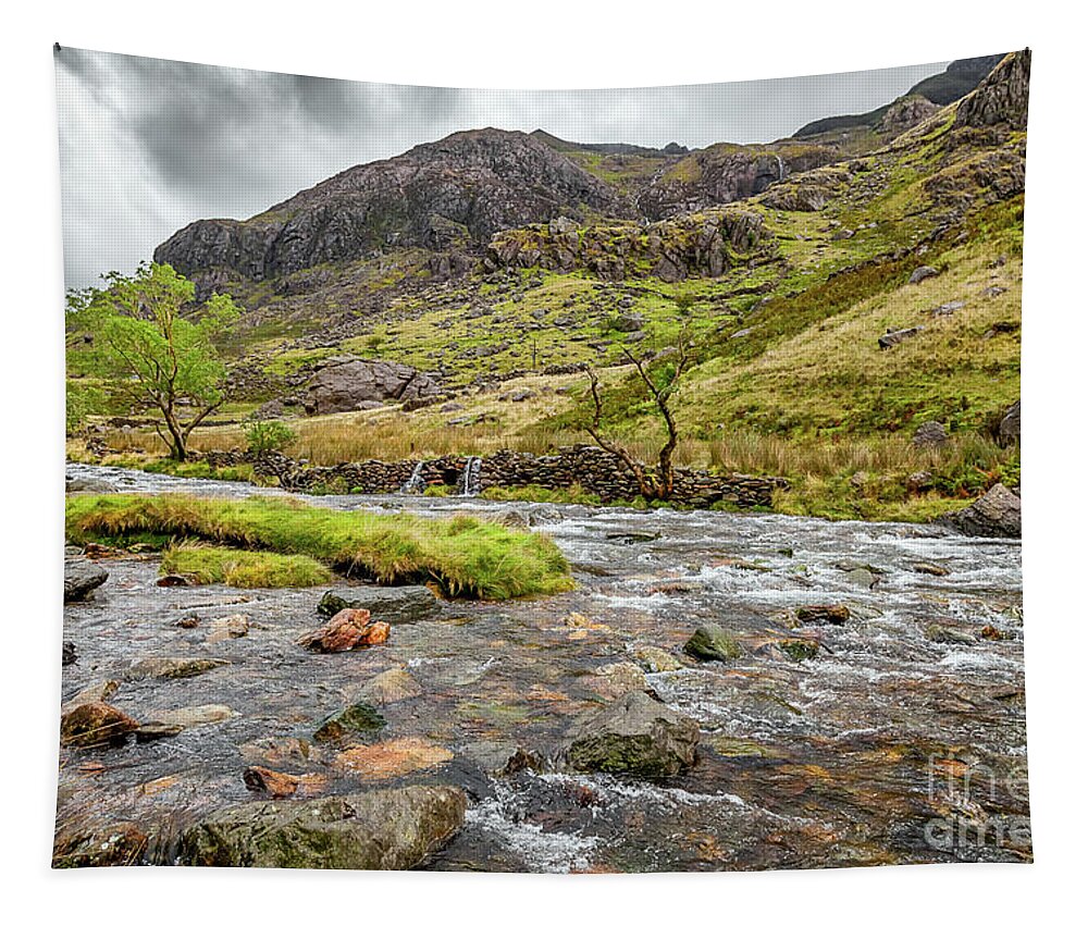 Llanberis Pass Tapestry featuring the photograph Llanberis Pass Snowdonia by Adrian Evans