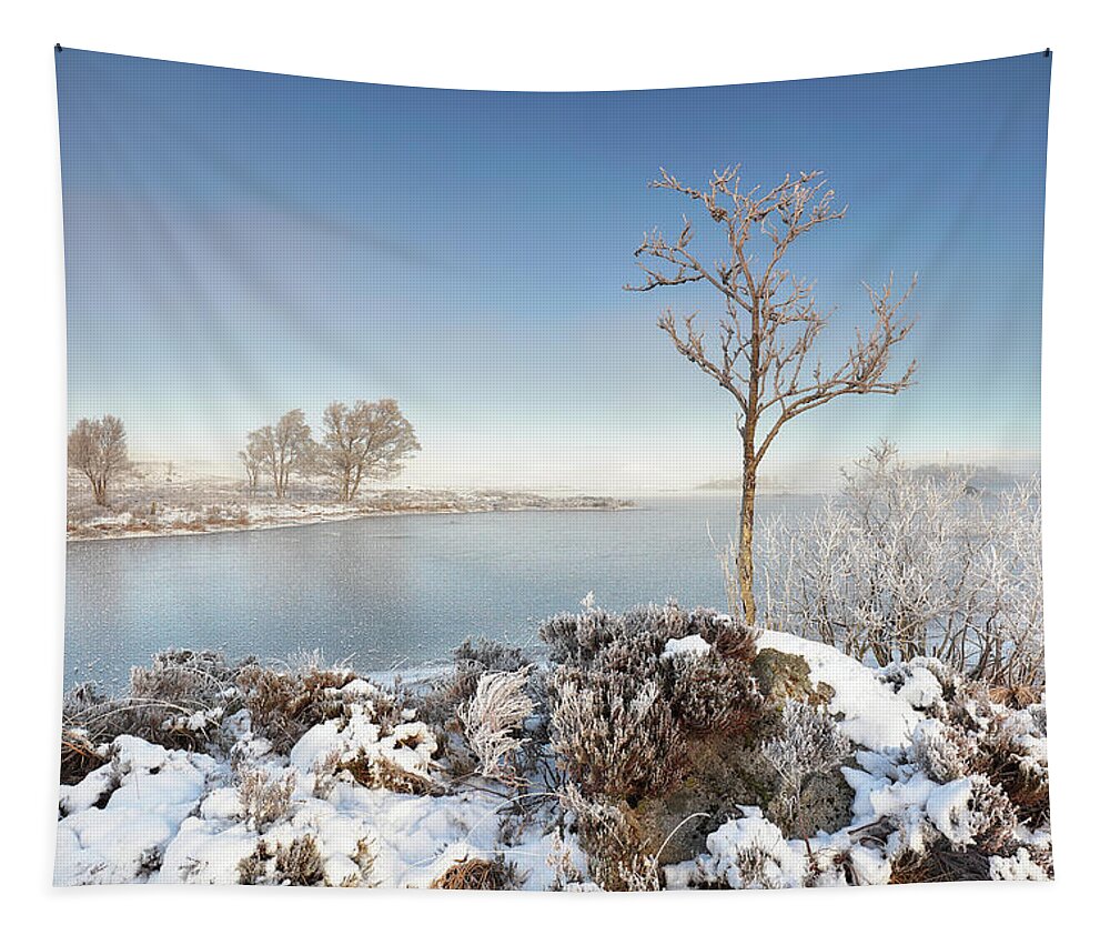Glencoe Tapestry featuring the photograph Loch Ba Winter by Grant Glendinning