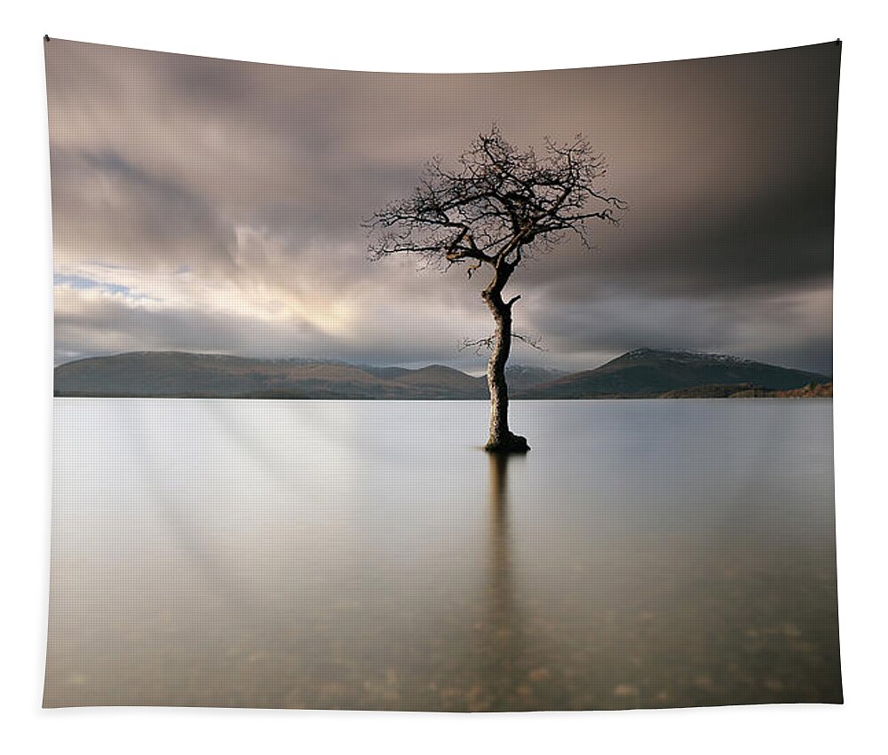 Loch Lomond Tapestry featuring the photograph Loch Lomond Lone Tree by Grant Glendinning