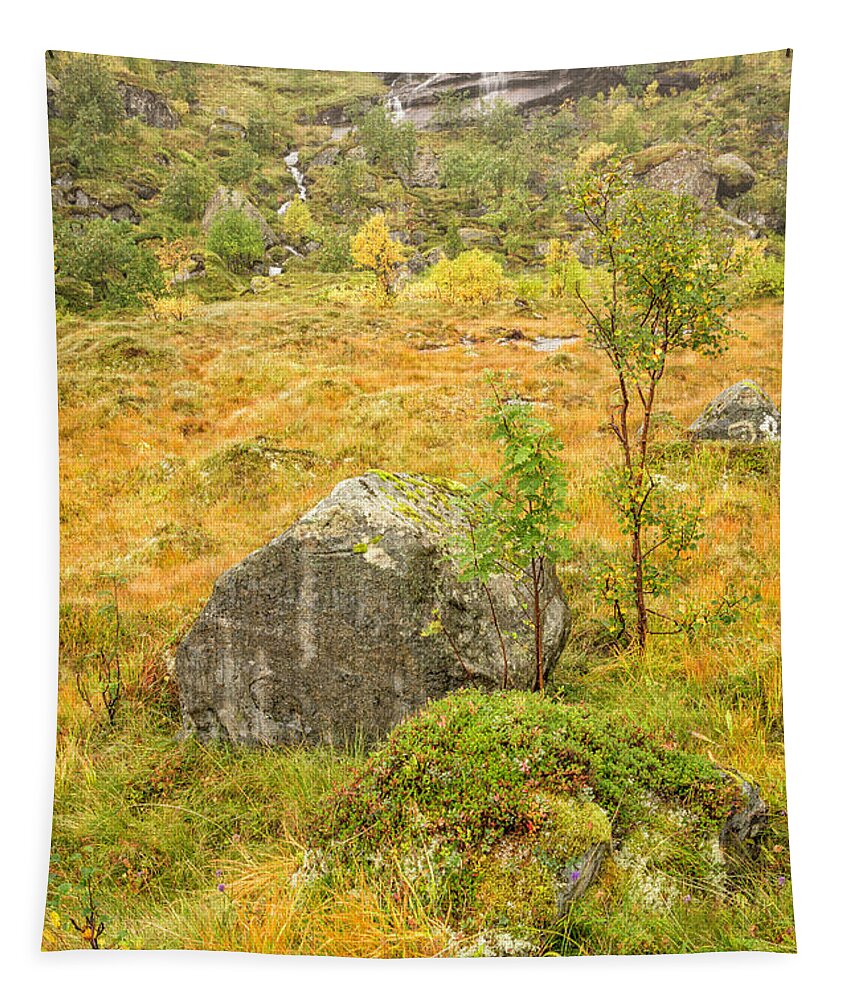 Norway Tapestry featuring the photograph Lofoten In Autumn 11 by Timothy Hacker