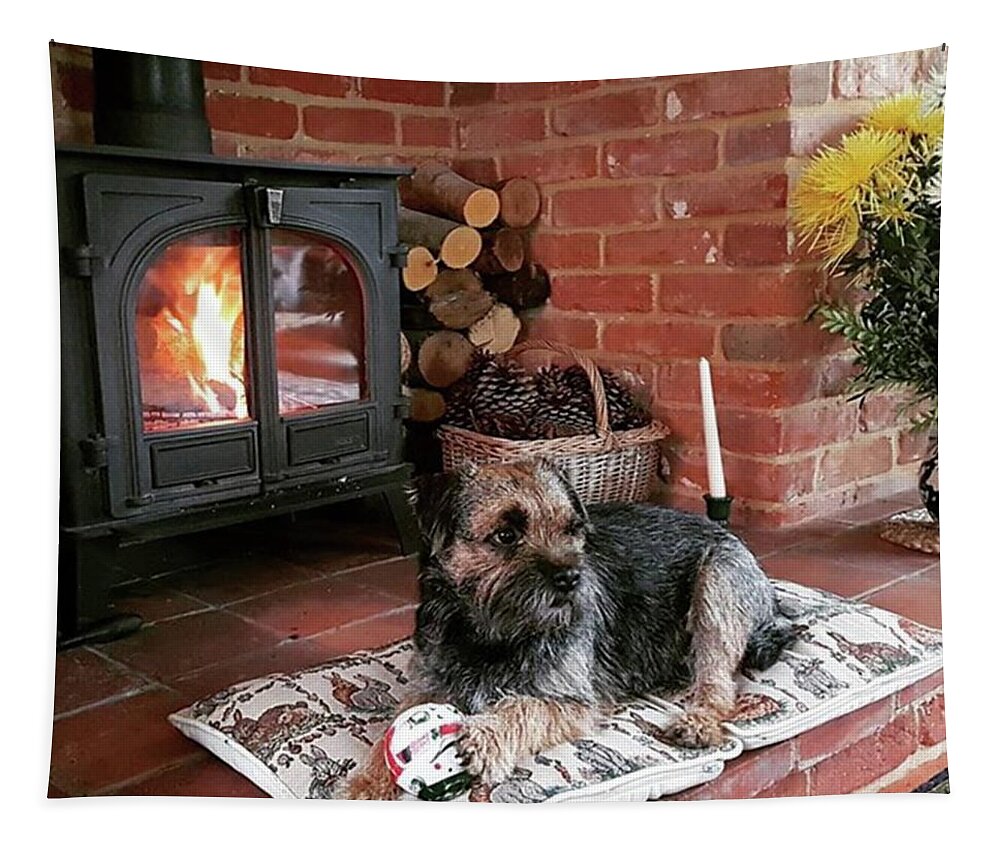 Dog Tapestry featuring the photograph Ready For Christmas by Rowena Tutty