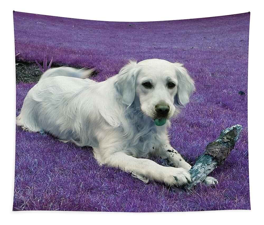 Dog Tapestry featuring the photograph Log Pile Trophy In Violet by Rowena Tutty