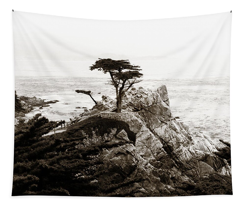 Lone Cypress Tapestry featuring the photograph Lone Cypress by Marilyn Hunt