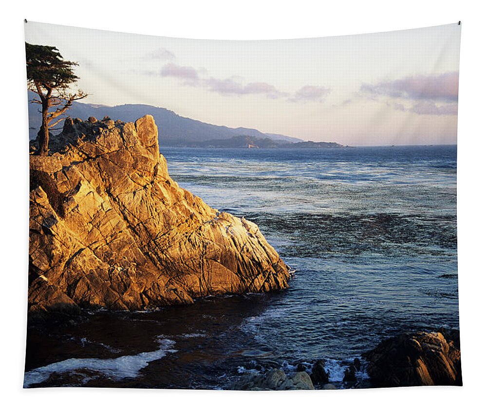 Afternoon Tapestry featuring the photograph Lone Cypress Tree by Michael Howell - Printscapes