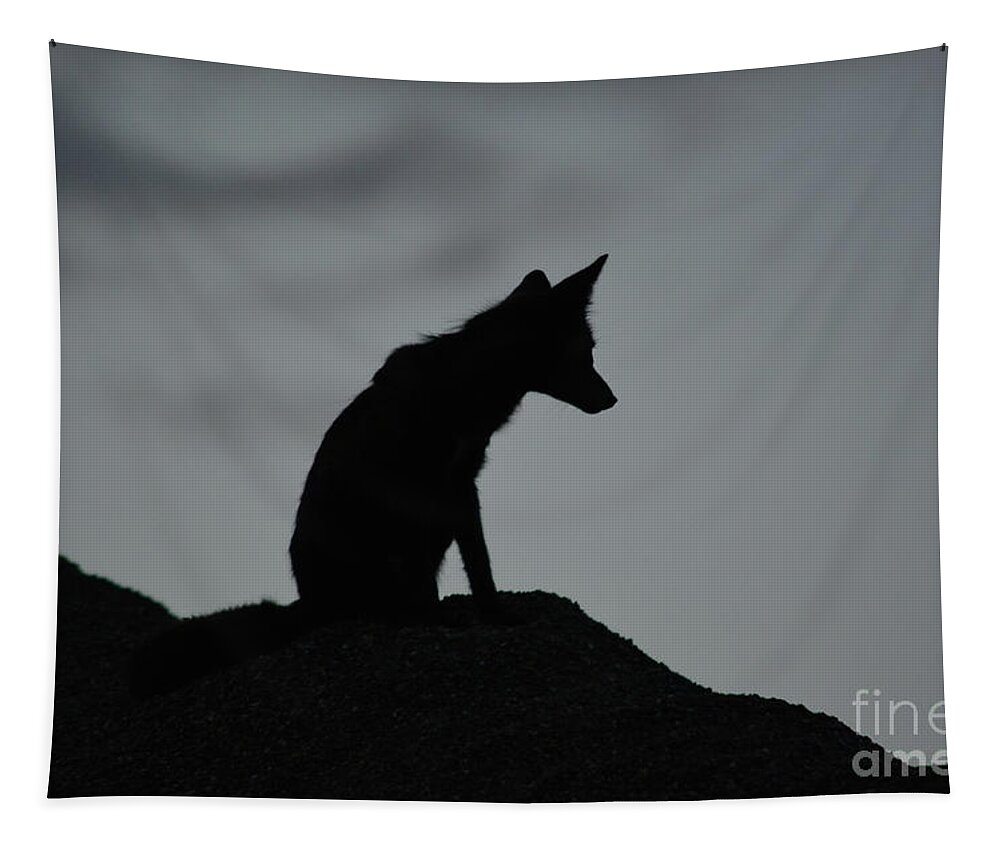 Fox Tapestry featuring the photograph Lone Fox by Vivian Martin