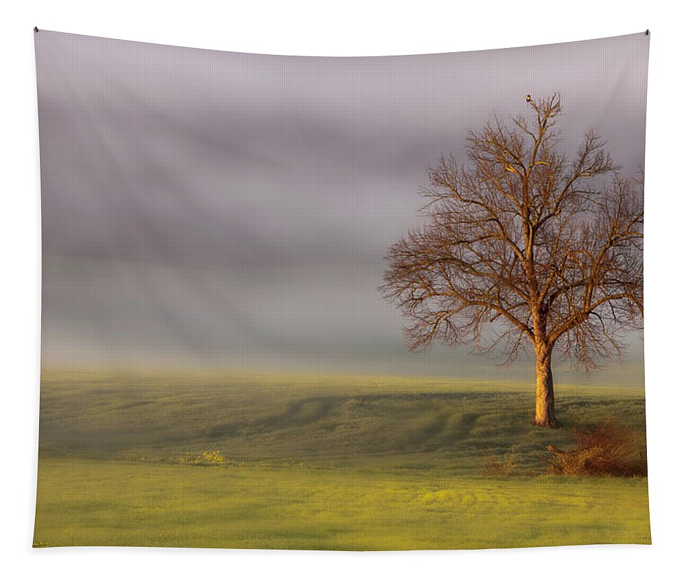 Tree Tapestry featuring the photograph Lone Tree at Ojai Summit by John A Rodriguez