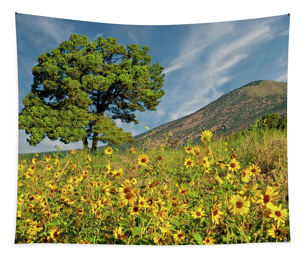 Arizona Tapestry featuring the photograph Lone Tree in a Sunflower Field by Jeff Goulden