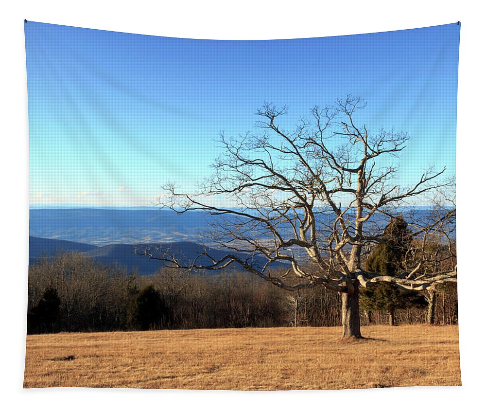 Lone Tapestry featuring the photograph Lone Tree by Travis Rogers