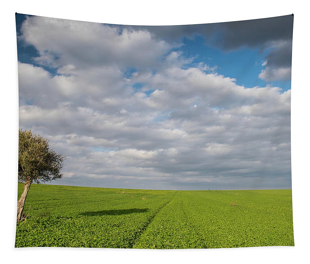 Olive Tree Tapestry featuring the photograph Lonely Olive tree in a green field and moving clouds by Michalakis Ppalis
