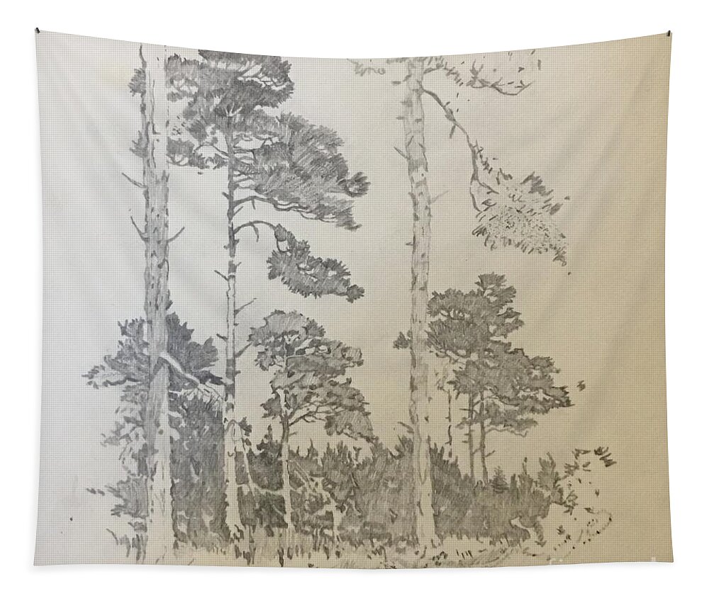 Woods Tapestry featuring the drawing Lonely Pines by Thomas Janos
