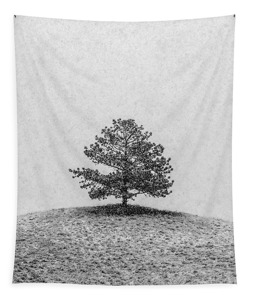 Vertical Tapestry featuring the photograph Lonesome Tree by Todd Klassy