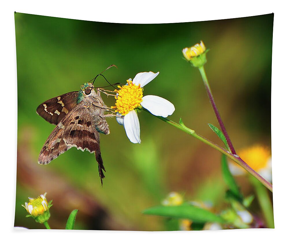 Animal Tapestry featuring the photograph Long-tailed Skipper Butterfly by Richard Leighton