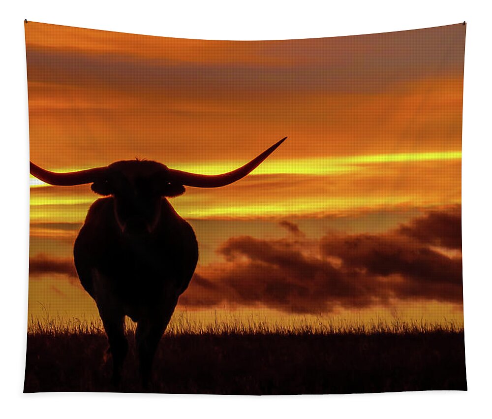 Colorado Tapestry featuring the photograph Longhorn at Sunset by Dawn Key