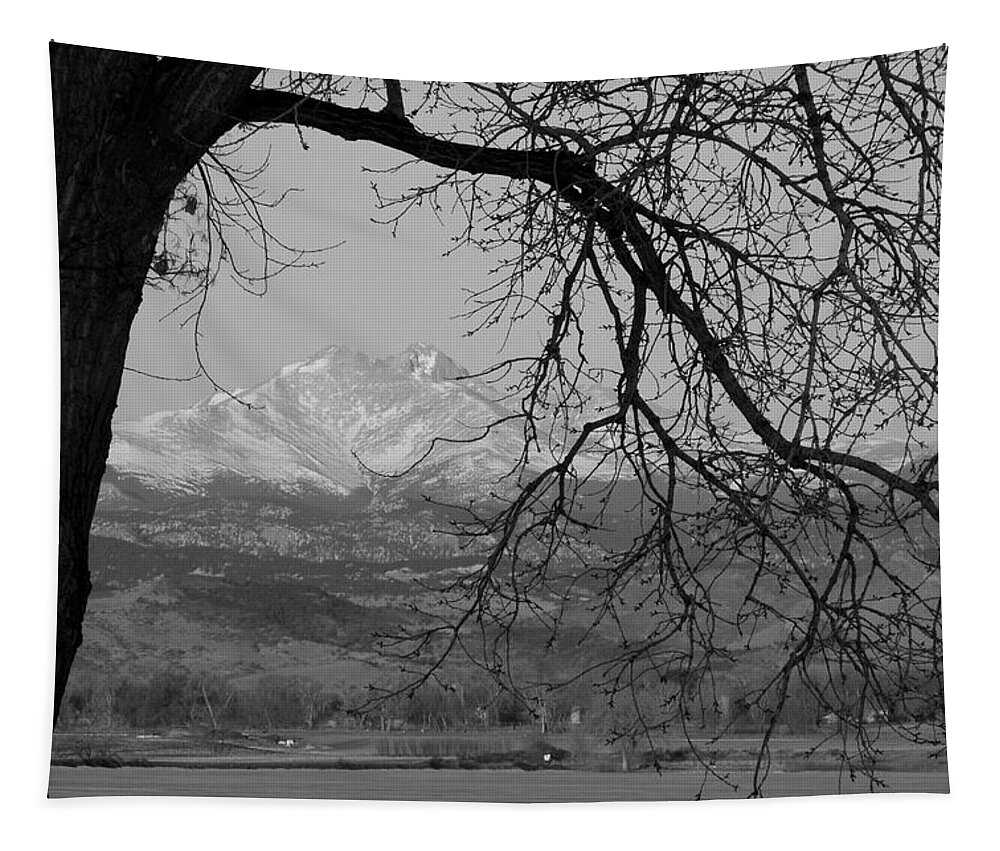 Longs Peak Tapestry featuring the photograph Longs Peak and Mt. Meeker the Twin Peaks Black and White Photo I by James BO Insogna