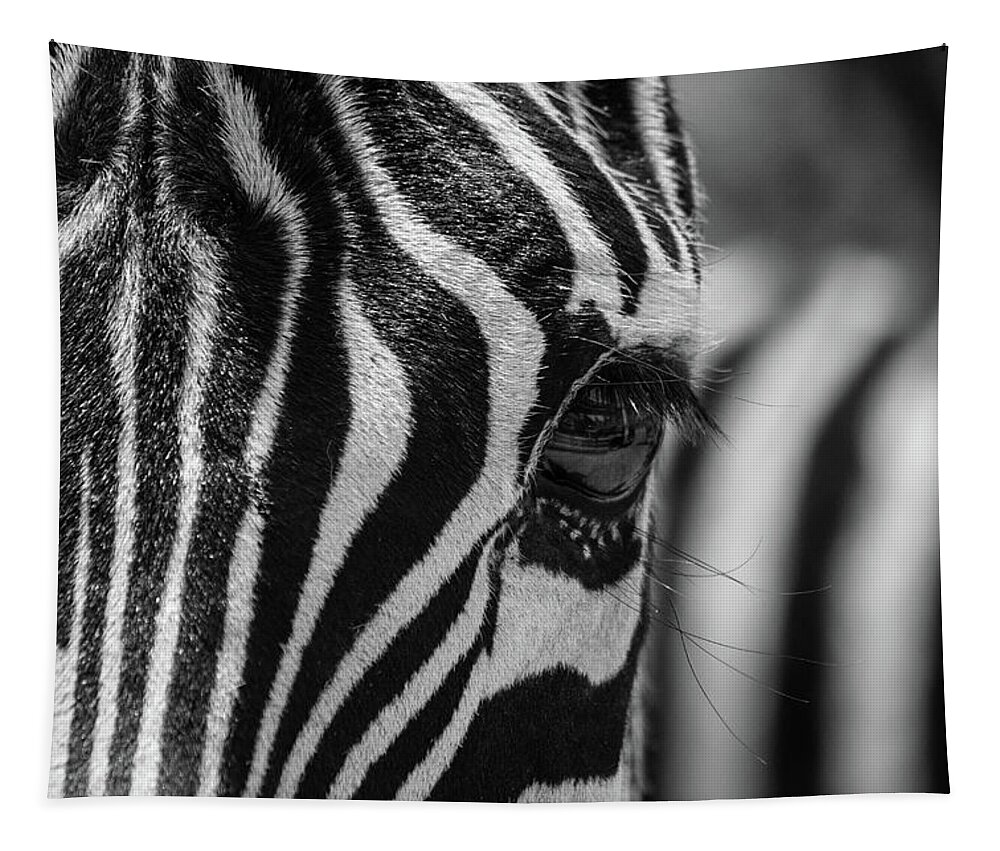 Animal Tapestry featuring the photograph Looking At Me - BW by Teresa Wilson