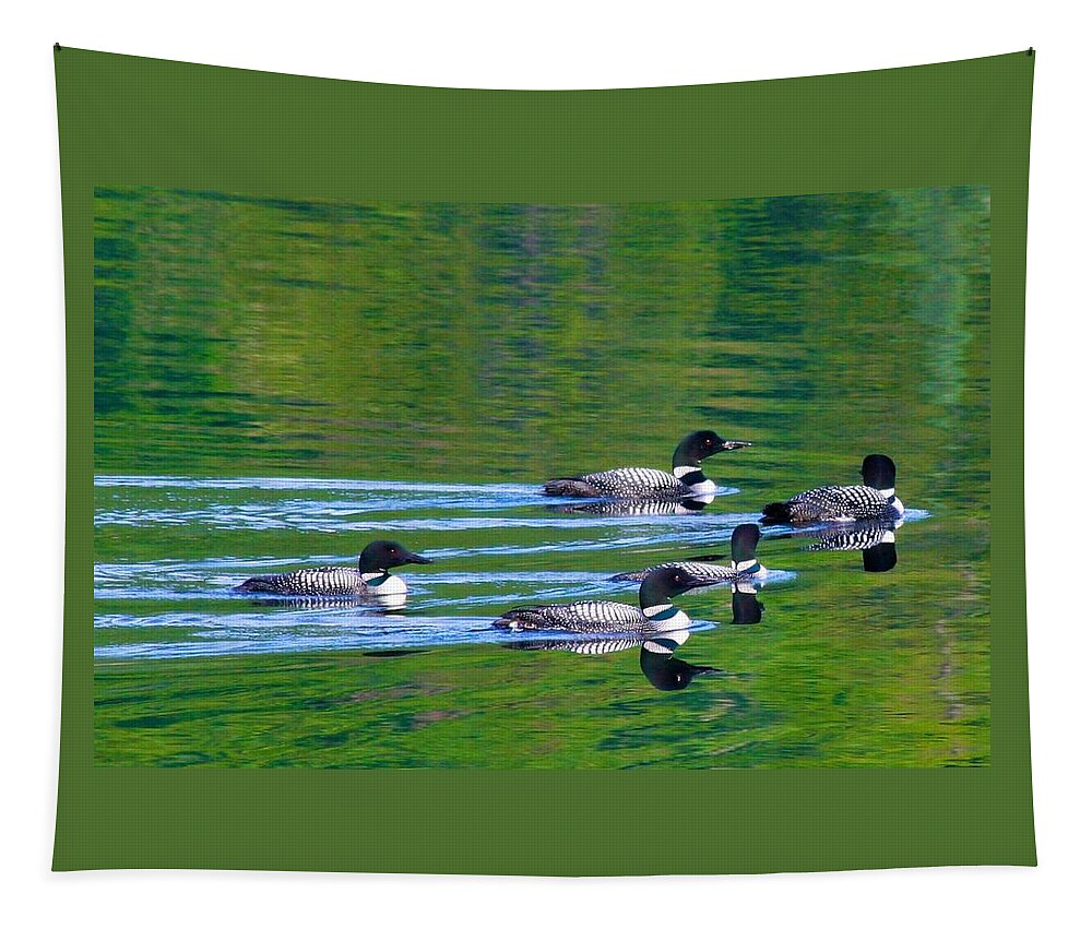  Tapestry featuring the photograph Loons in Green Lake by Polly Castor