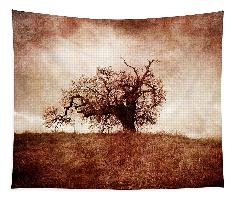 Photography Tapestry featuring the photograph Lost and Wandering by Laura Iverson