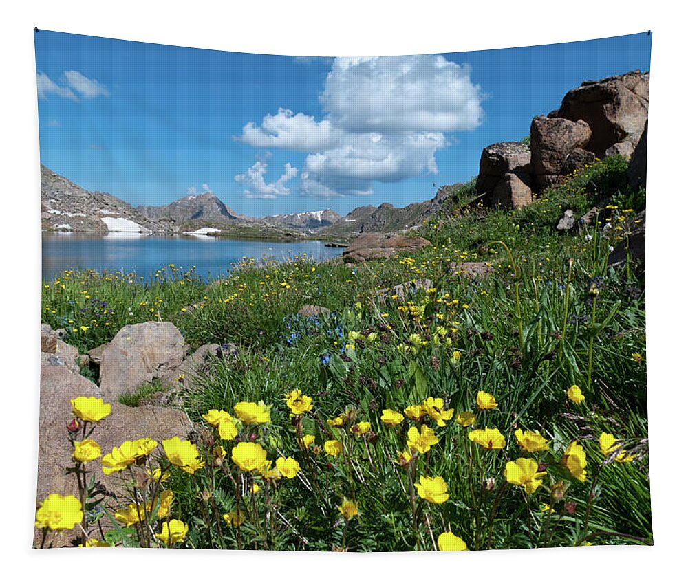 Lost Man Lake Tapestry featuring the photograph Lost Man Lake with Bright Yellow Wildflowers by Cascade Colors