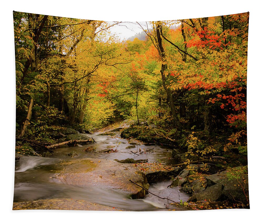 #jefffolger Tapestry featuring the photograph Lost River Fall Colors by Jeff Folger