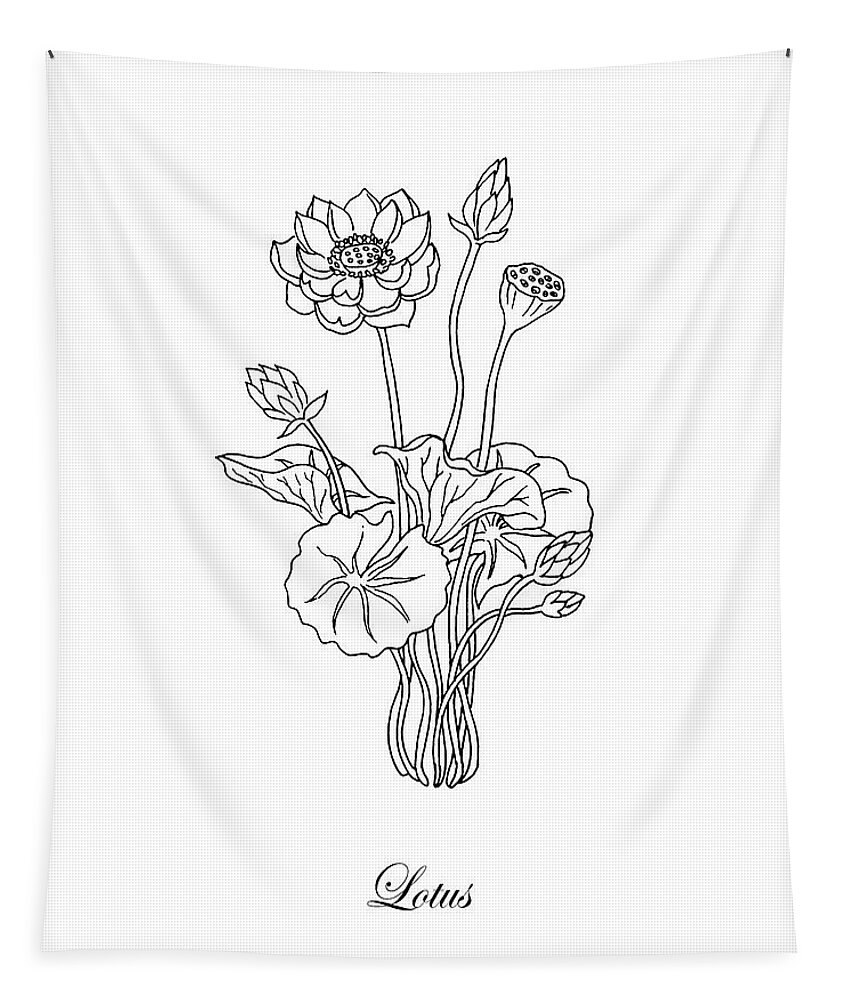 Lotus Tapestry featuring the drawing Lotus Flower Botanical Drawing Black And White by Irina Sztukowski